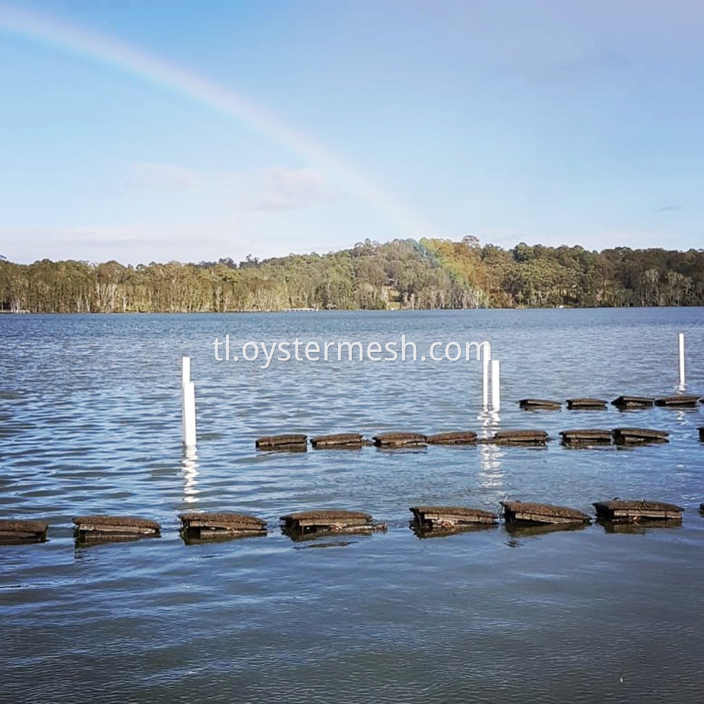 Lumulutang ang Oyster Bag Oyster Bag Floats